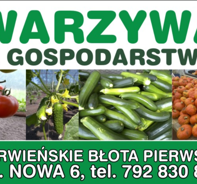 Wizytówka