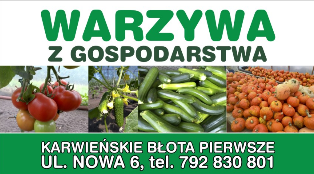 Wizytówka